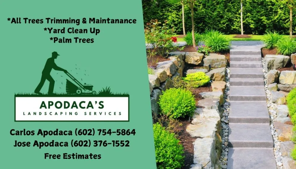 Reliable landscape installation in Phoenix, AZ by Apodaca's Landscaping Services