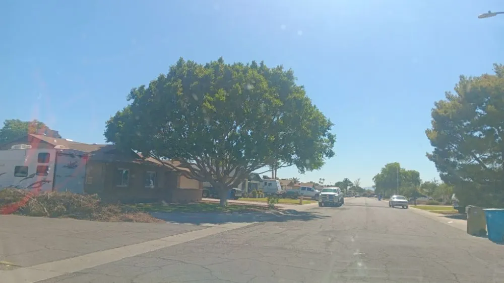 Professional outdoor landscaping in Phoenix, AZ - Apodaca's Landscaping Services