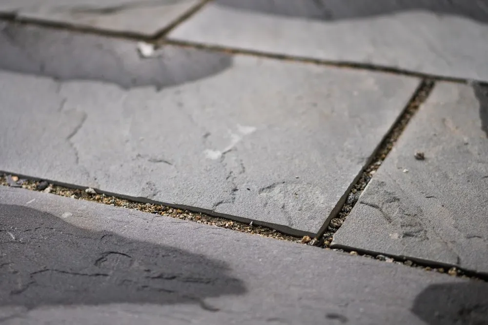 Local lawn care service experts serving Portland, OR - Apogee Landscapes