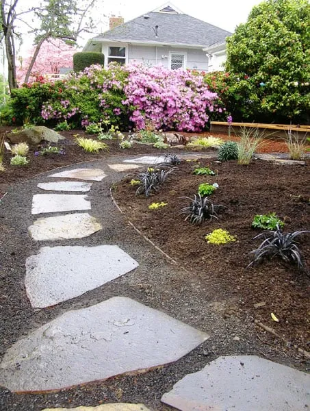 Expert yard cleanup service in Portland, OR - Apogee Landscapes