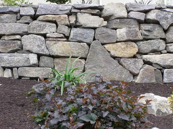 Trusted lawn care service experts serving Portland, OR - Apogee Landscapes