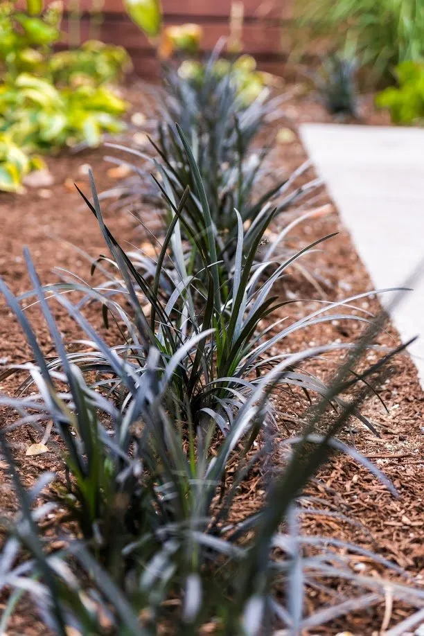 Professional outdoor landscaping for year-round maintenance across Portland, OR - Apogee Landscapes