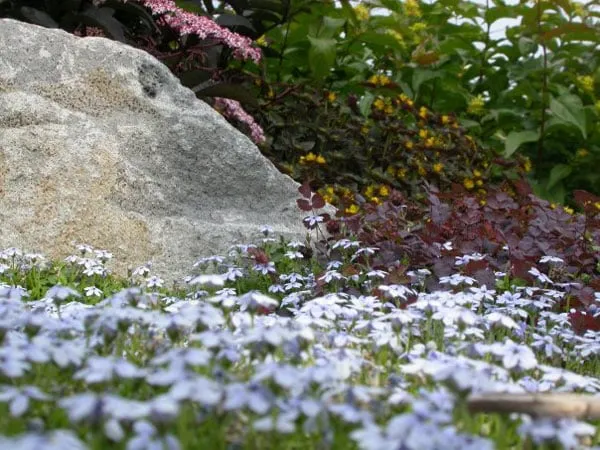 Custom residential landscaping near you across Portland, OR - Apogee Landscapes