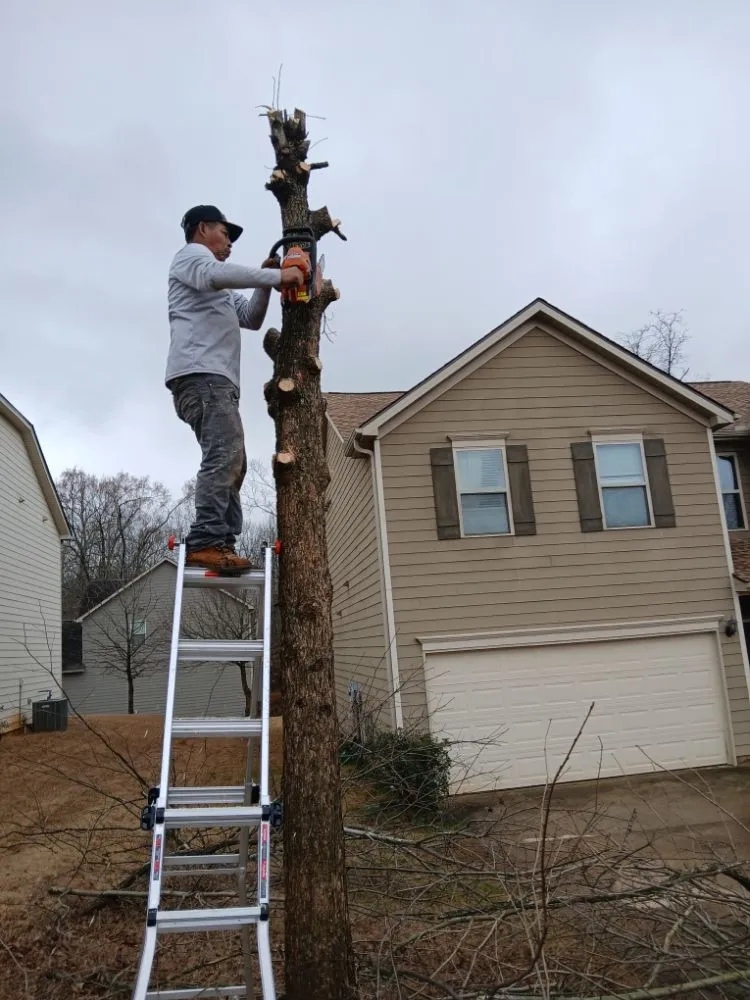 Reliable landscape design experts serving McDonough, GA - Apolinar Landscaping