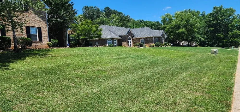 Affordable landscaping services near you across McDonough, GA - Apolinar Landscaping