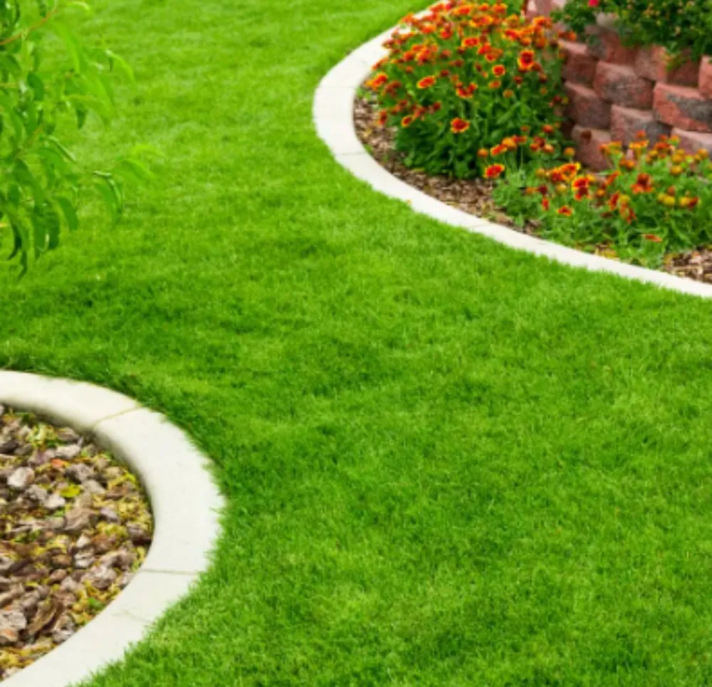 Trusted yard cleanup service in McDonough, GA by Apolinar Landscaping