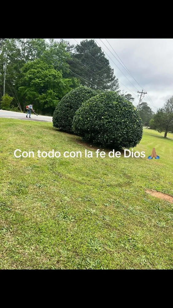 Reliable residential landscaping experts serving McDonough, GA - Apolinar Landscaping