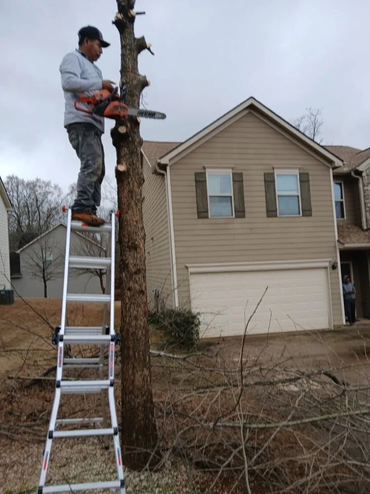 Top-rated landscape design in McDonough, GA by Apolinar Landscaping