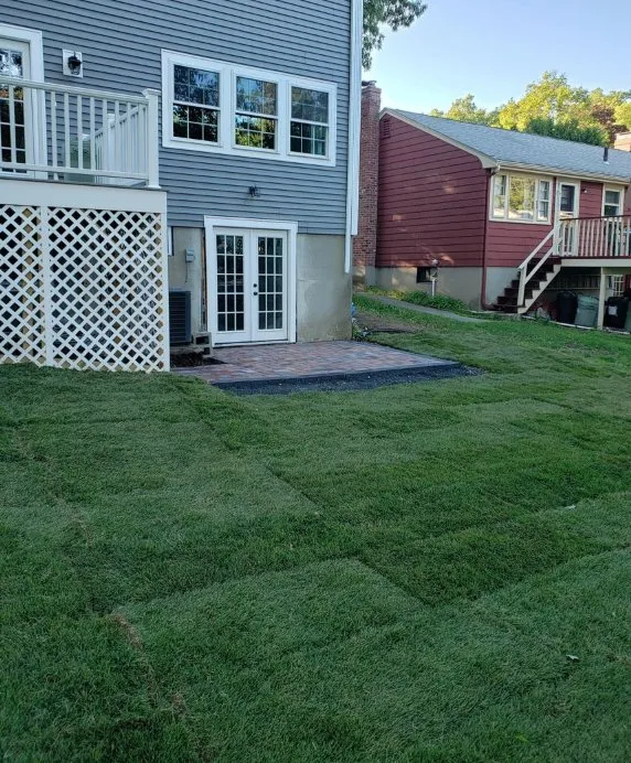 Expert lawn care service in Framingham, MA by Apolinario service