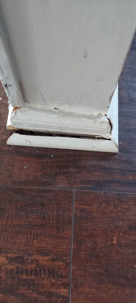 Expert garden landscaping for residential properties across Trainer, PA - Apollo And Sons