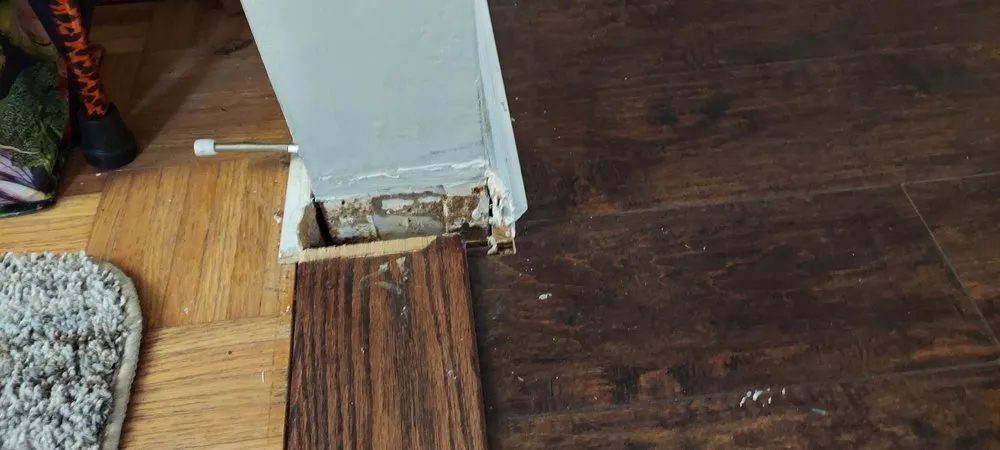 Expert yard maintenance experts serving Trainer, PA - Apollo And Sons