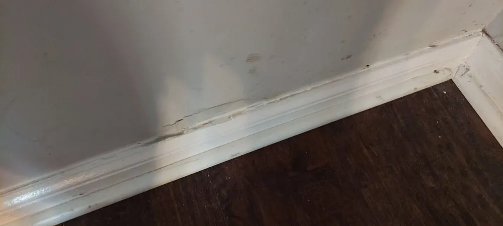 Reliable landscape design in Trainer, PA - Apollo And Sons