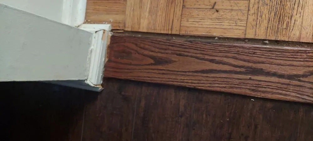 Local yard maintenance in Trainer, PA - Apollo And Sons