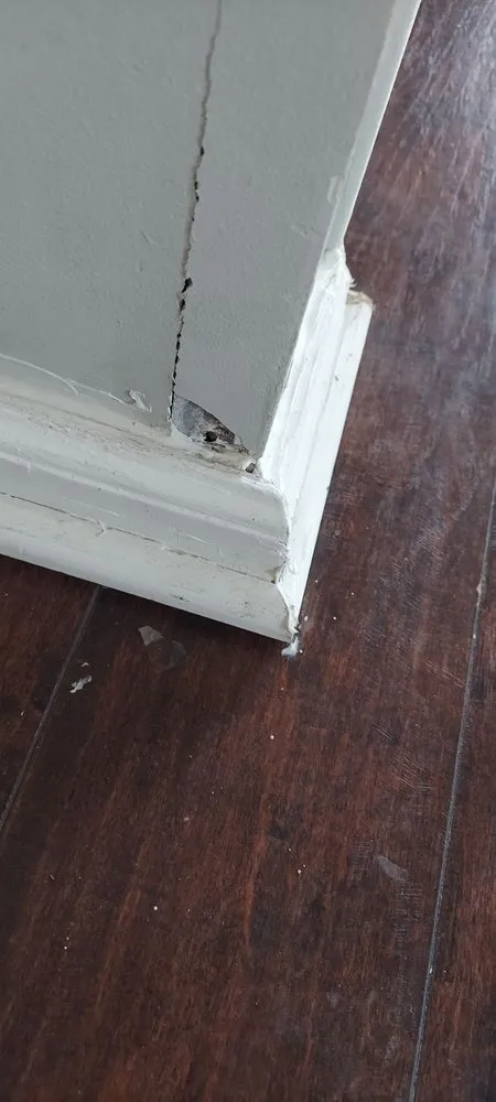 Affordable outdoor landscaping for year-round maintenance across Trainer, PA - Apollo And Sons