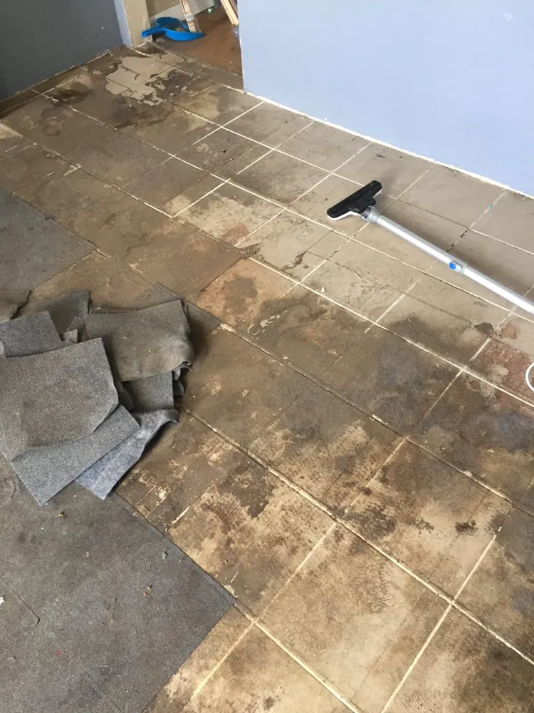 Local lawn mowing service in Trainer, PA by Apollo And Sons