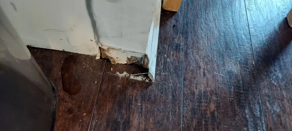 Trusted landscape design with custom design across Trainer, PA - Apollo And Sons