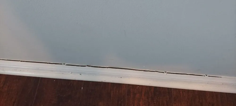 Affordable lawn care service experts serving Trainer, PA - Apollo And Sons