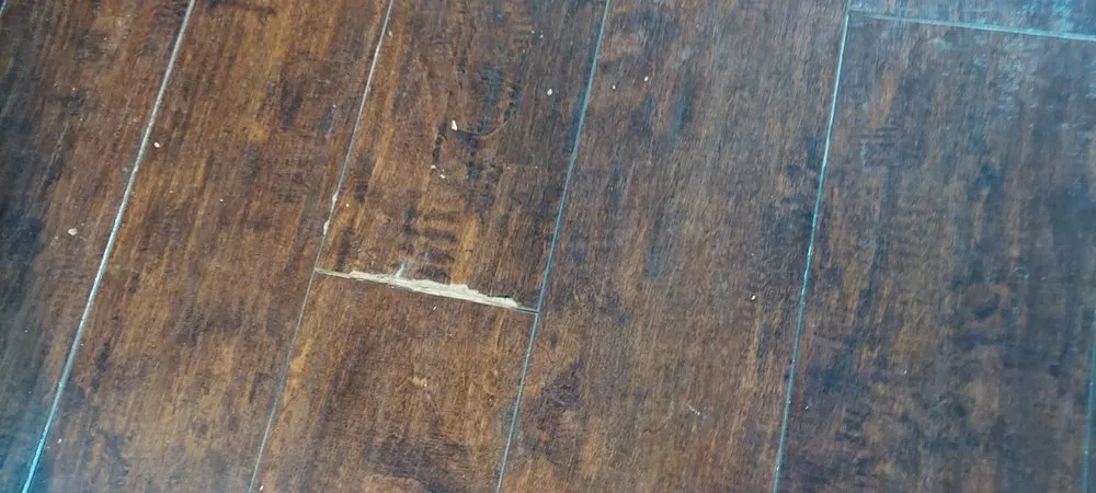 Custom garden landscaping for beautiful yards across Trainer, PA - Apollo And Sons