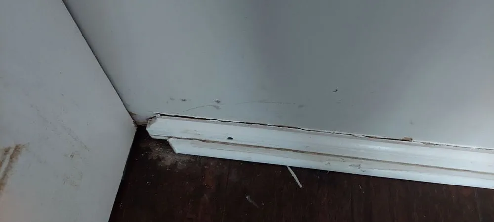 Reliable lawn care service experts serving Trainer, PA - Apollo And Sons