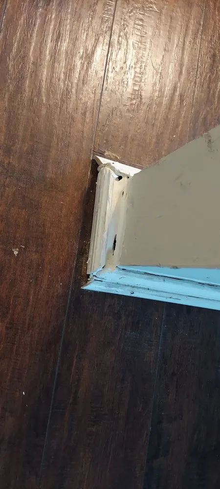 Expert lawn care service in Trainer, PA by Apollo And Sons