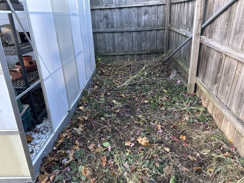 Affordable yard cleanup service experts serving Lafayette, IN - Apollo Bladez