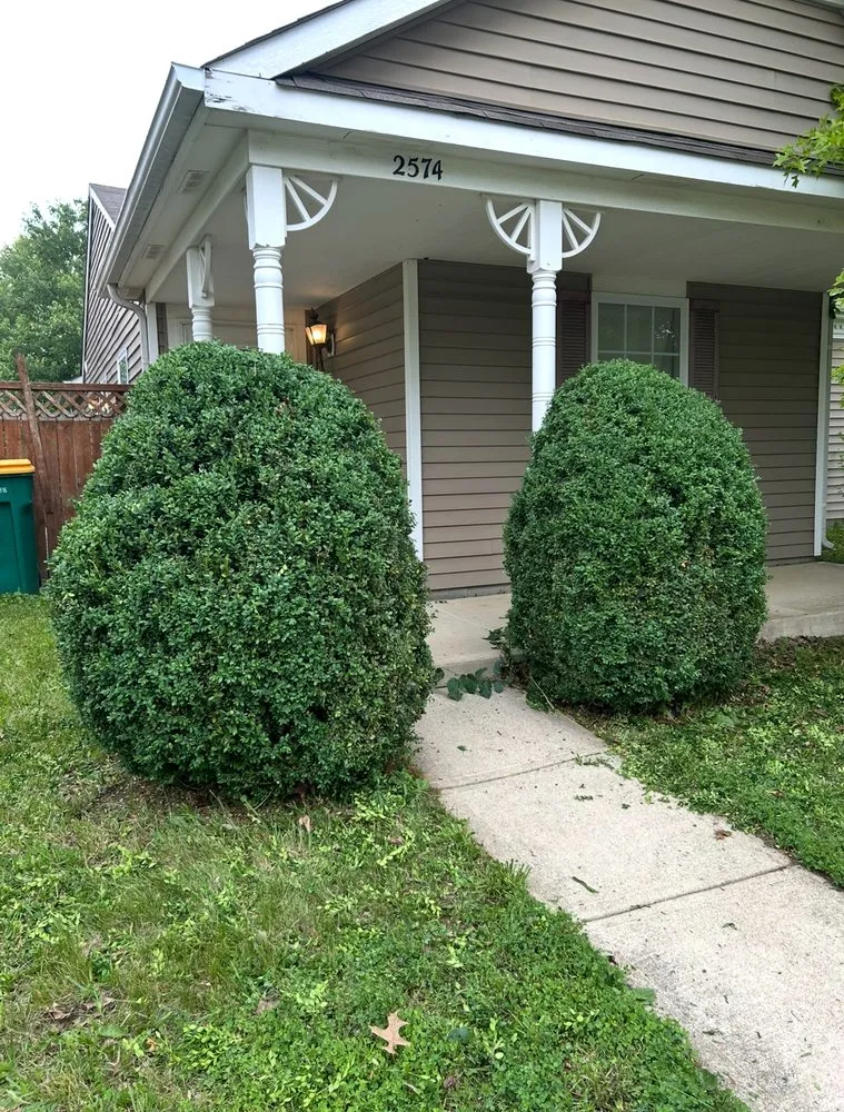 Trusted landscape design near you in Lafayette, IN by Apollo Bladez