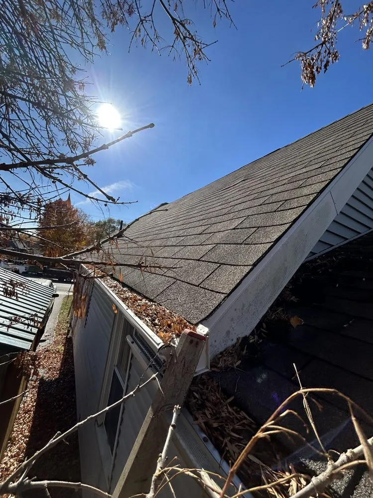 Local lawn care service experts serving Lafayette, IN - Apollo Bladez