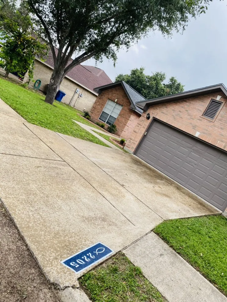 Professional landscaping services experts serving Donna, TX - Apollo Lawn Cleaning Services