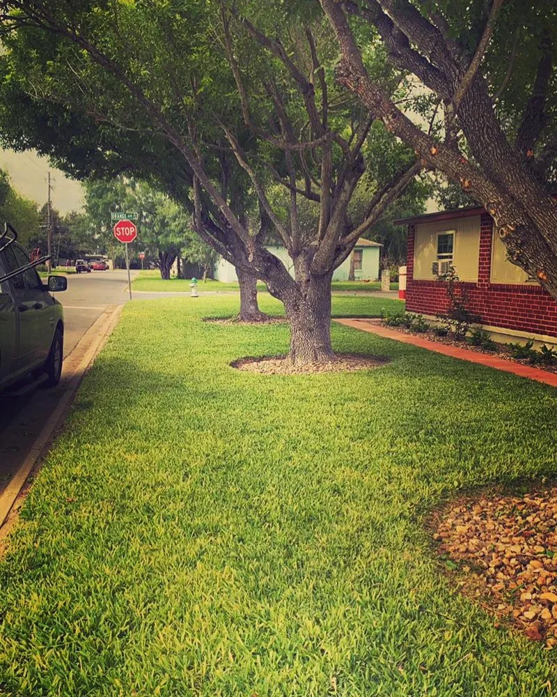 Professional lawn care service near you across Donna, TX - Apollo Lawn Cleaning Services