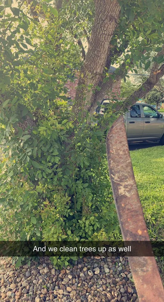 Affordable landscape design in Donna, TX - Apollo Lawn Cleaning Services