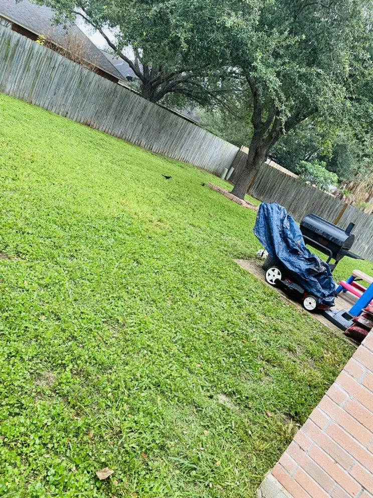 Expert lawn mowing service experts serving Donna, TX - Apollo Lawn Cleaning Services