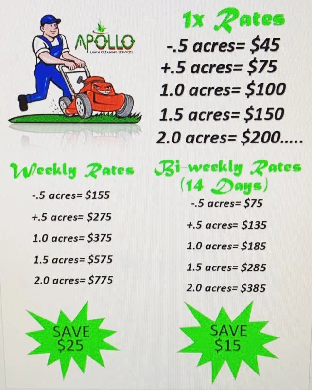 Custom outdoor landscaping in Donna, TX by Apollo Lawn Cleaning Services