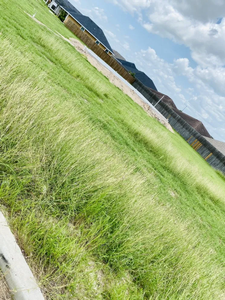 Trusted landscaping services in Donna, TX - Apollo Lawn Cleaning Services