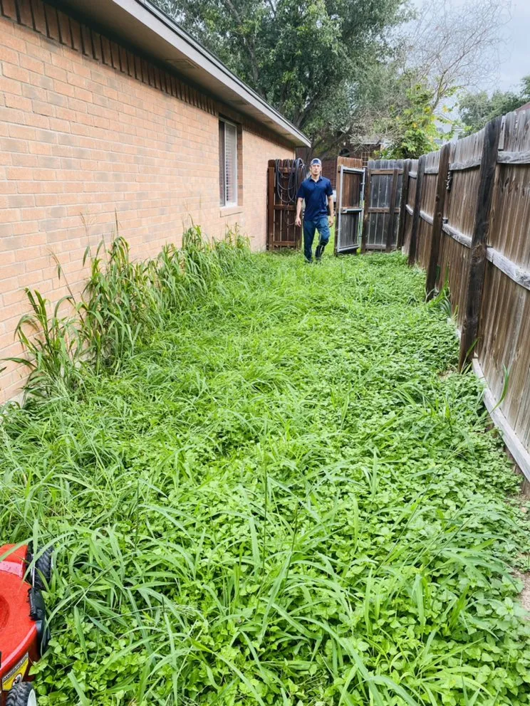 Custom lawn mowing service in Donna, TX by Apollo Lawn Cleaning Services