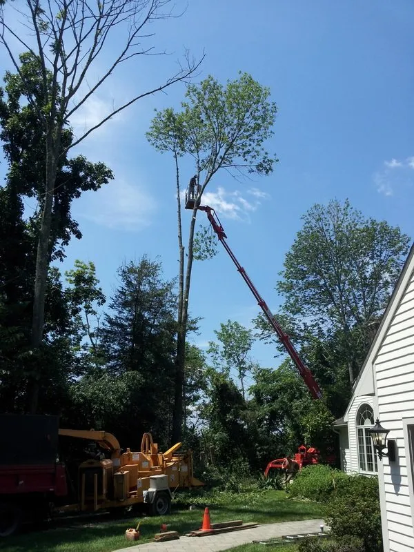 Professional landscaping services experts serving Farmington, CT - Apollo Property Maintenance