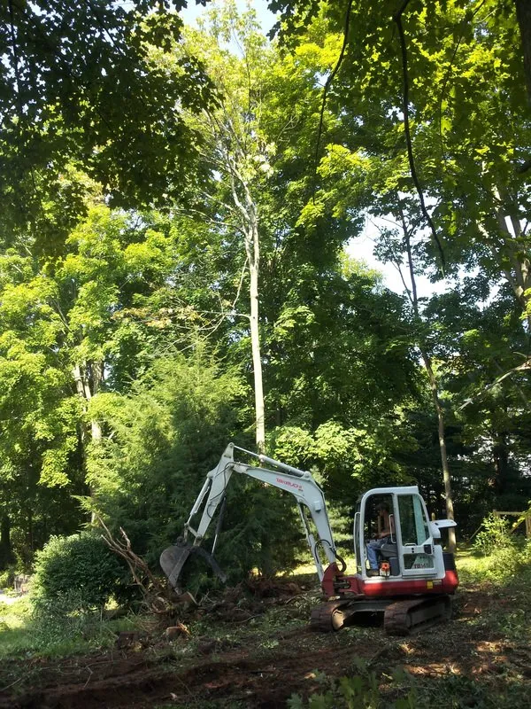 Affordable yard cleanup service experts serving Farmington, CT - Apollo Property Maintenance