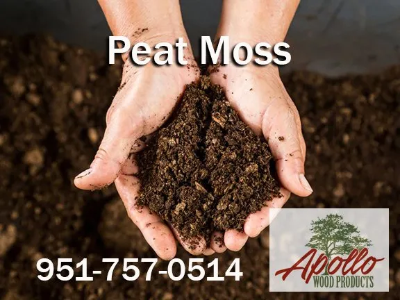 Professional yard maintenance in Ontario, CA - Apollo Wood Products