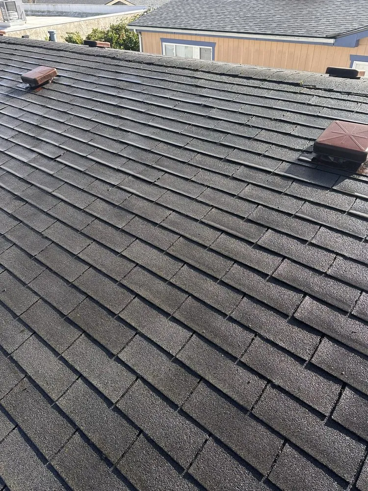 Custom landscape design in Tacoma, WA by Apolo the Builder