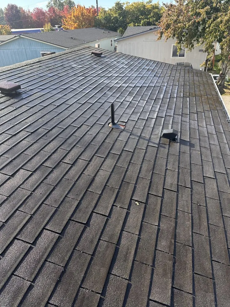 Custom outdoor landscaping in Tacoma, WA by Apolo the Builder