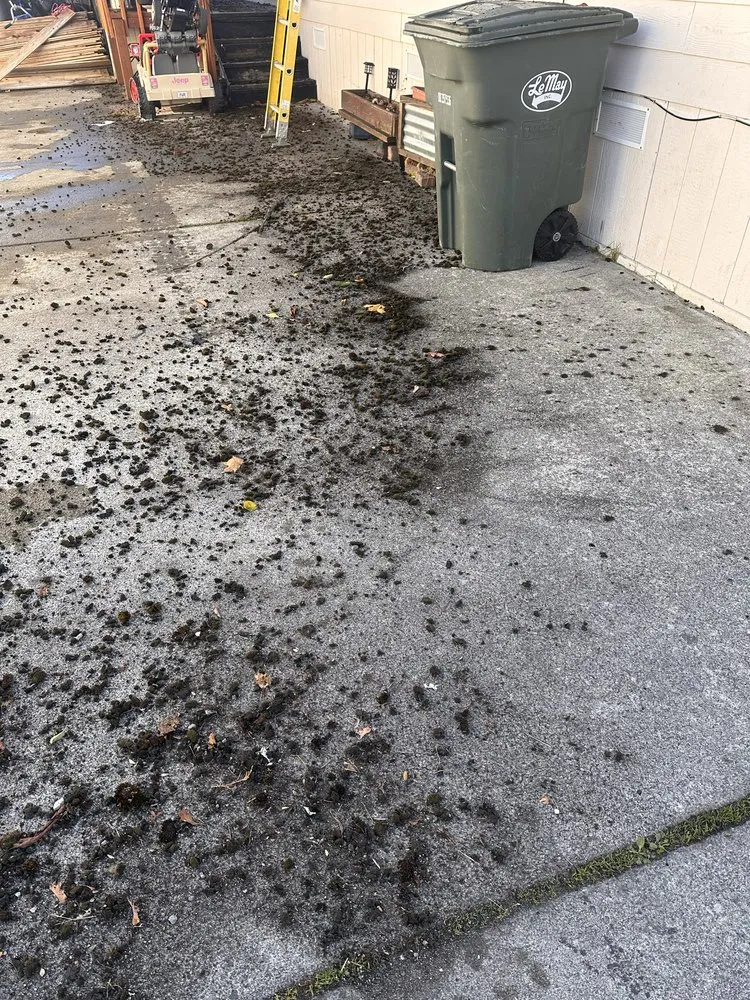 Affordable lawn care service in Tacoma, WA by Apolo the Builder