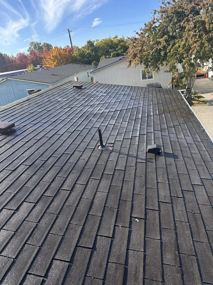 Local yard maintenance with custom design across Tacoma, WA - Apolo the Builder