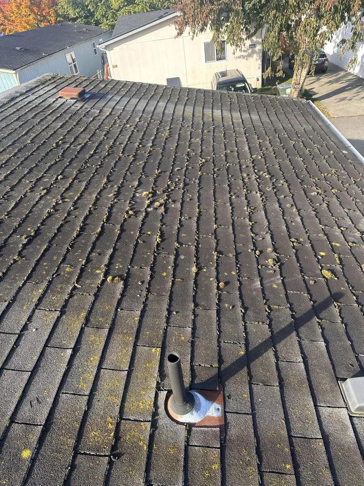 Affordable lawn care service experts serving Tacoma, WA - Apolo the Builder