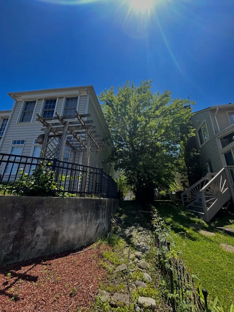 Top-rated landscape design for residential properties across Newport News, VA - Apolonio Lawn Care