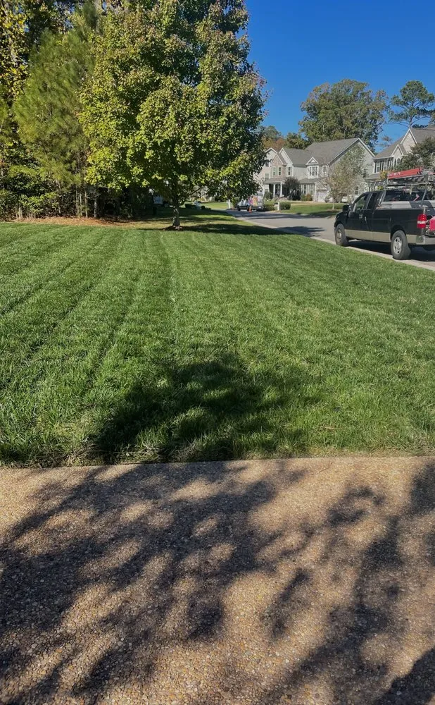 Local yard cleanup service in Newport News, VA by Apolonio Lawn Care