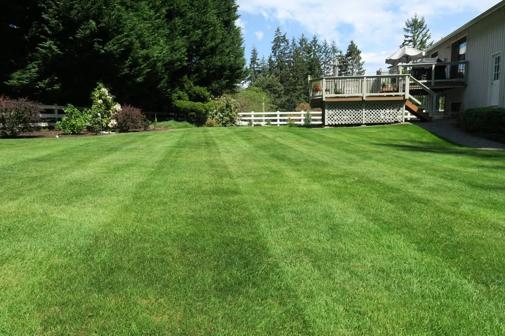 Expert yard maintenance in Kirkland, WA - Apol's Landscape Maintenance