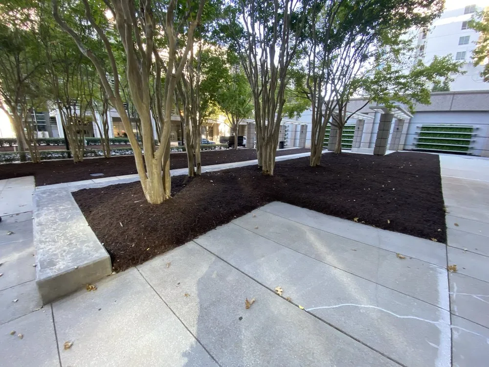 Reliable yard cleanup service in Marietta, GA - APO’s Pinestraw and Mulch