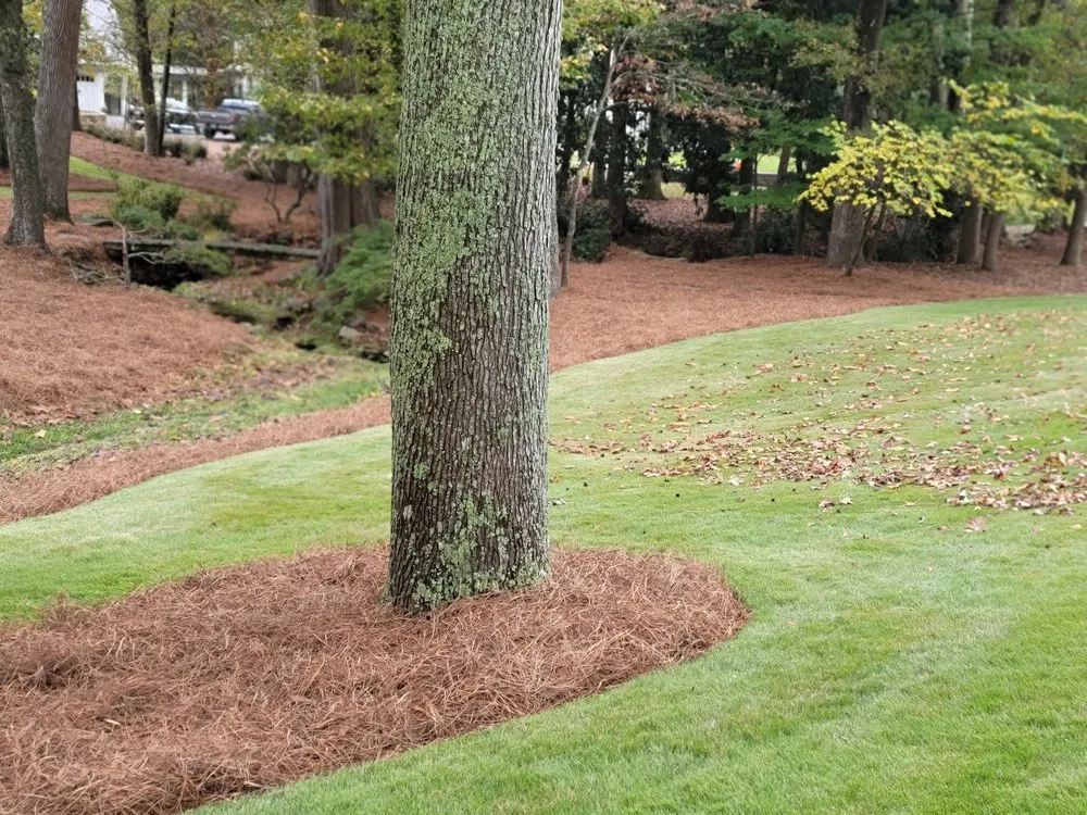 Custom landscaping services experts serving Marietta, GA - APO’s Pinestraw and Mulch