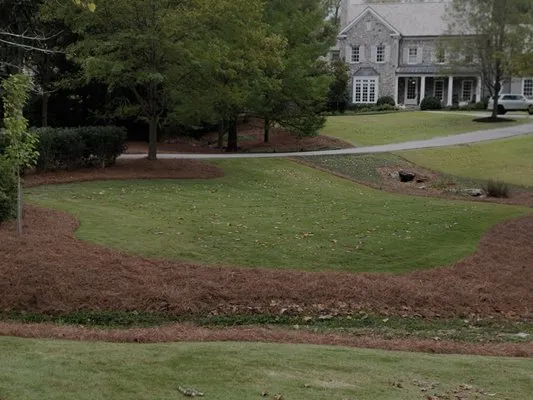 APO’s Pinestraw and Mulch Logo