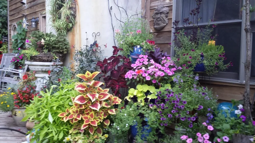 Local outdoor landscaping in Swannanoa, NC - Appalachian Creek Nursery & Landscape