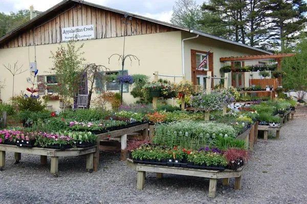 Appalachian Creek Nursery & Landscape